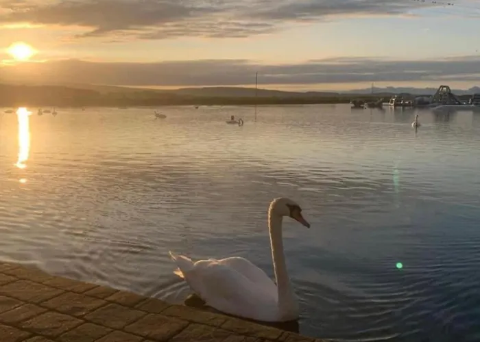 Lisas In The District * Millom